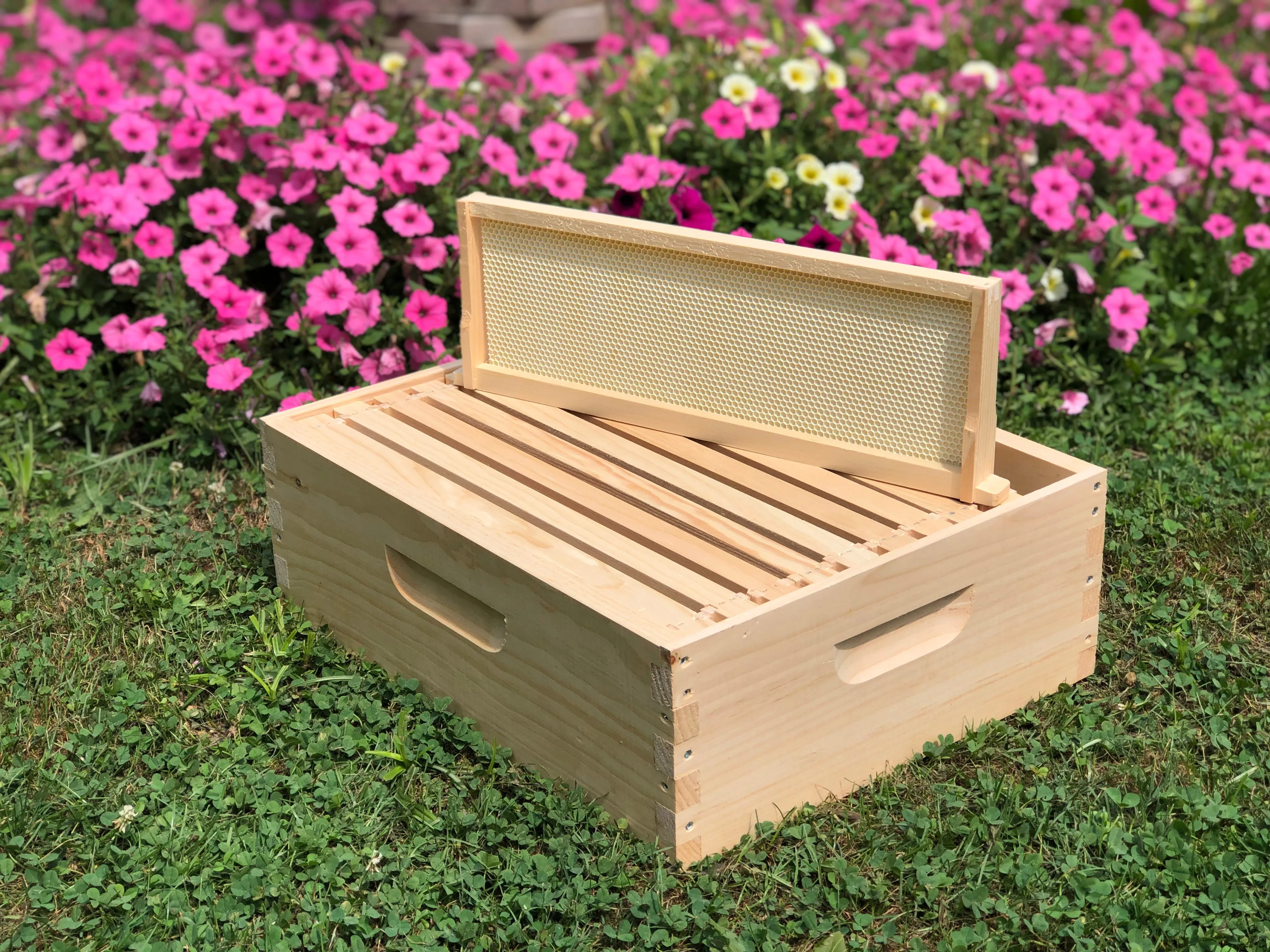 2 Deep 1 Medium Complete Bee Hive w/Frames & Foundations (Assembled) Langstroth