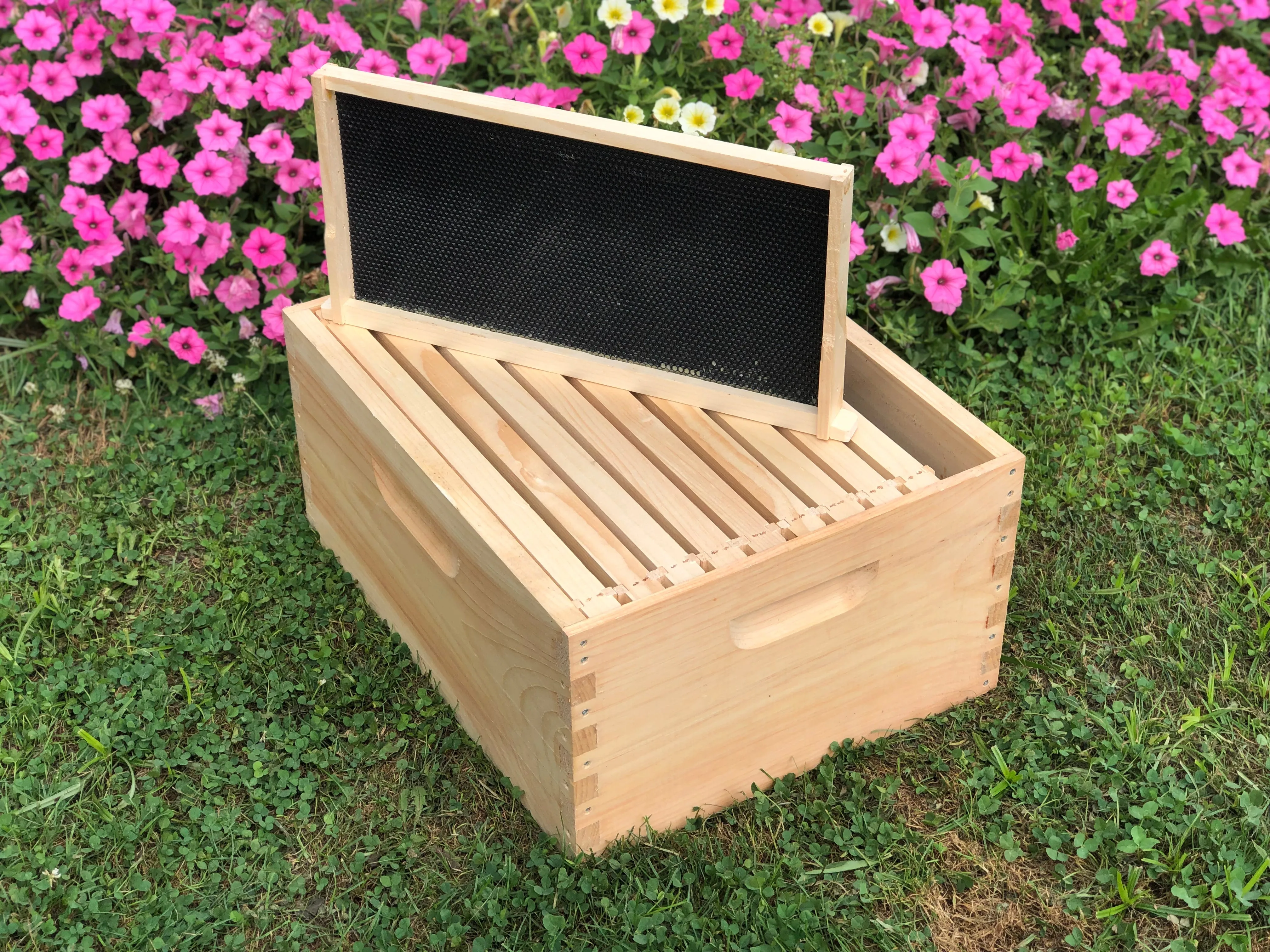 2 Deep 1 Medium Complete Bee Hive w/Frames & Foundations (Assembled) Langstroth