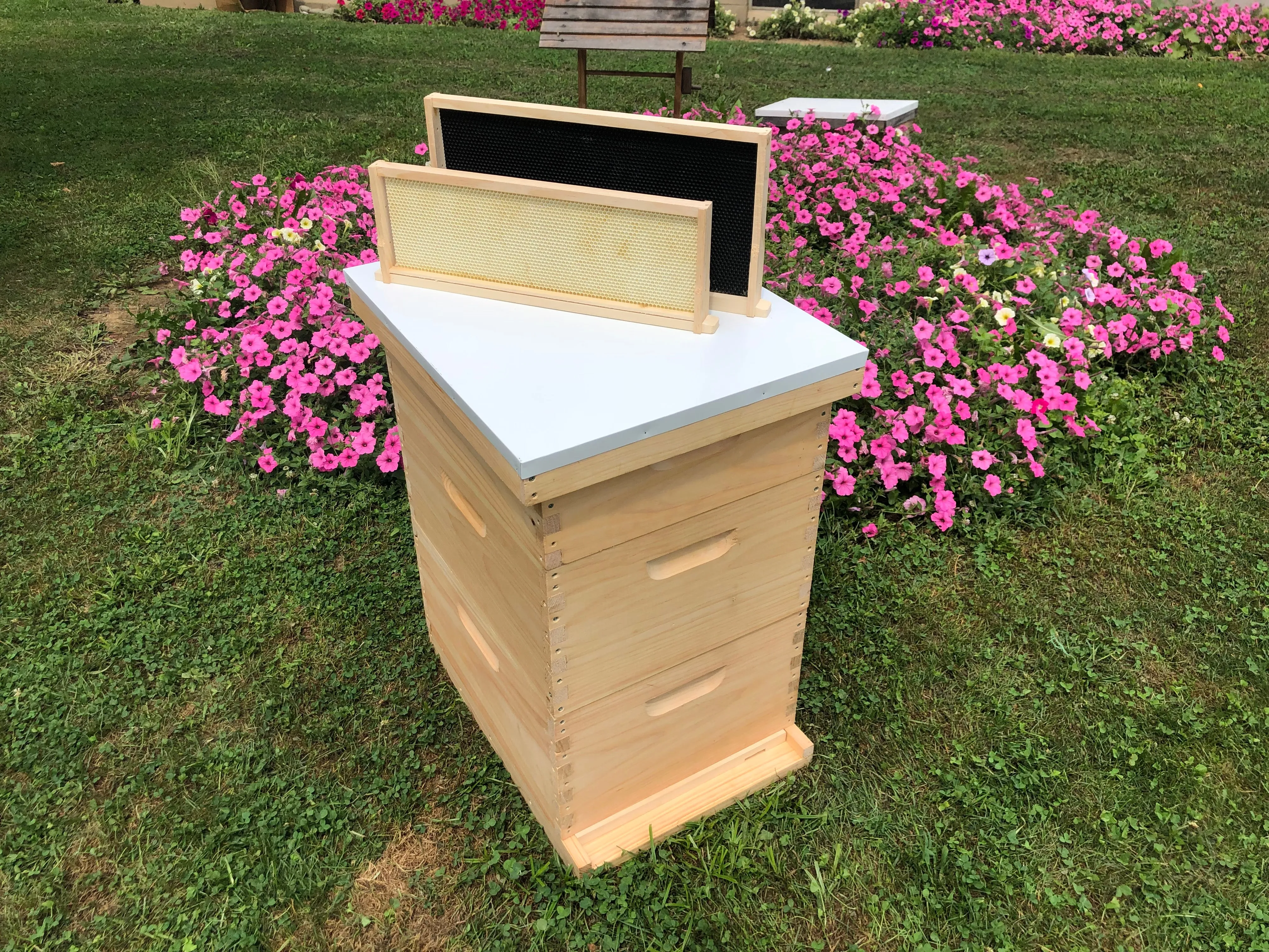 2 Deep 1 Medium Complete Bee Hive w/Frames & Foundations (Assembled) Langstroth