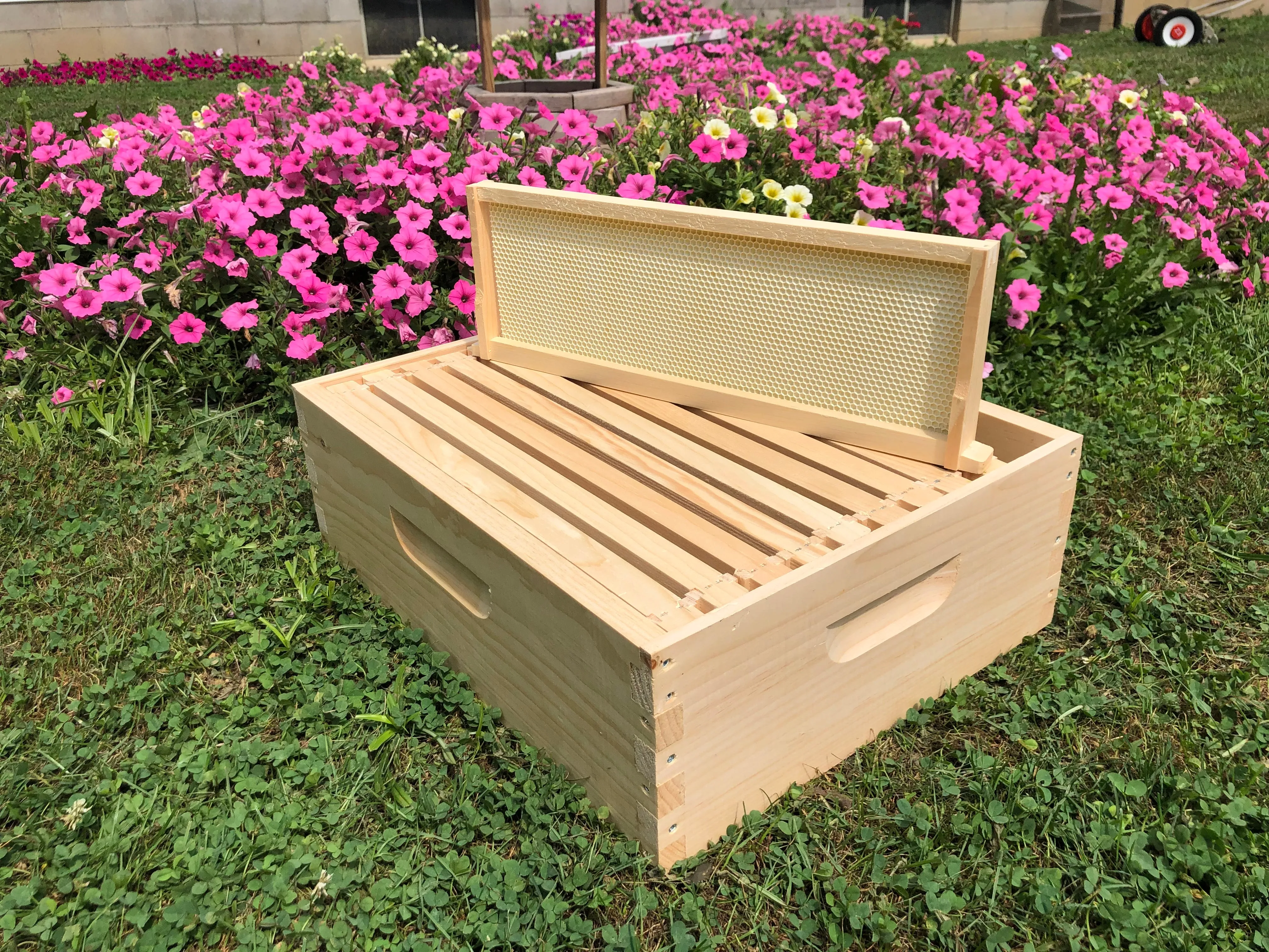6 5/8 Med honey super w/ foundations Assembled