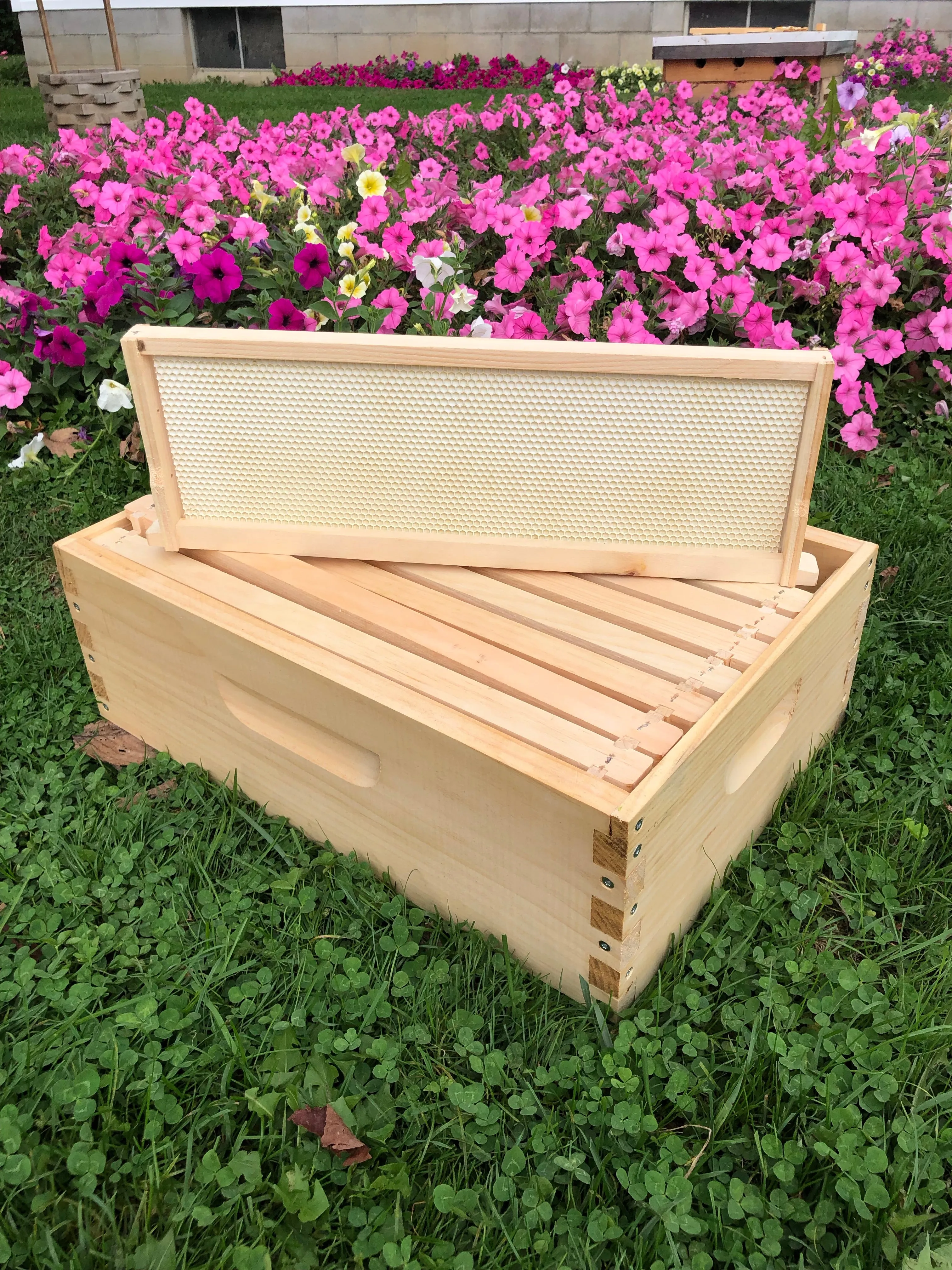 6 5/8 Med honey super w/ foundations Assembled