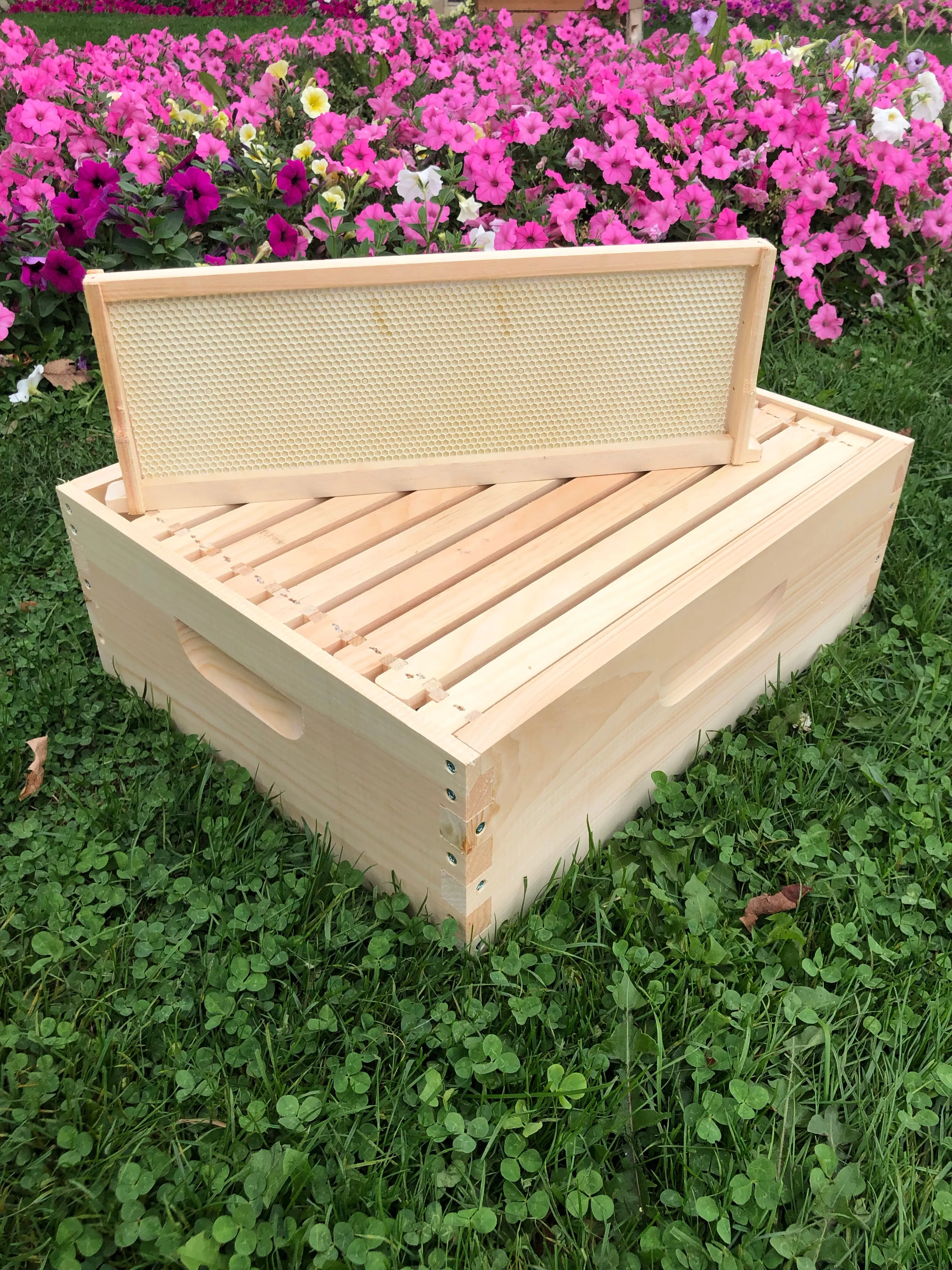 6 5/8 Med honey super w/ foundations Assembled