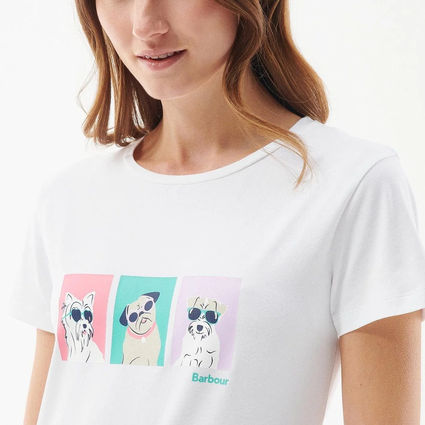 Barbour Beacons T-Shirt in White