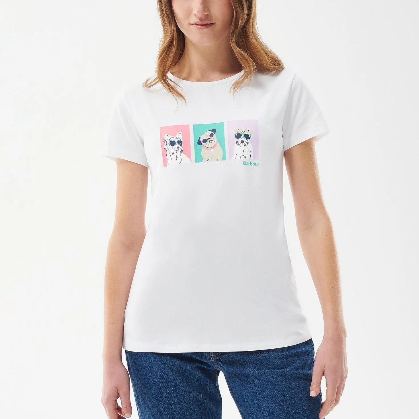 Barbour Beacons T-Shirt in White