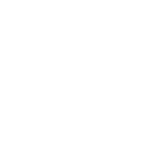 Grass, Ass Or Cash, No One Rides For Free