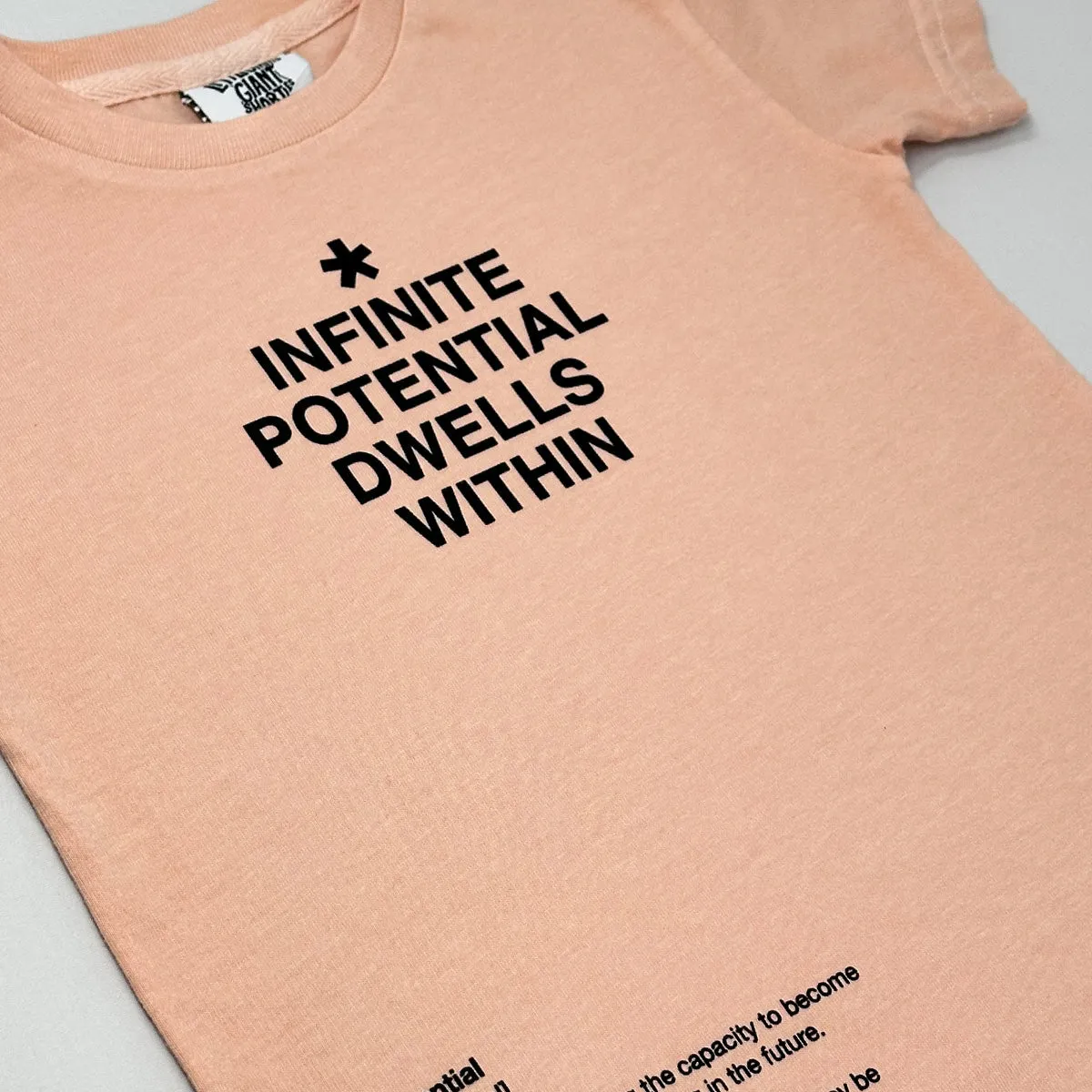 Infinite Potential T-Shirt (Mauve)