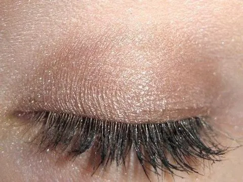 Sandalwood Eyeshadow