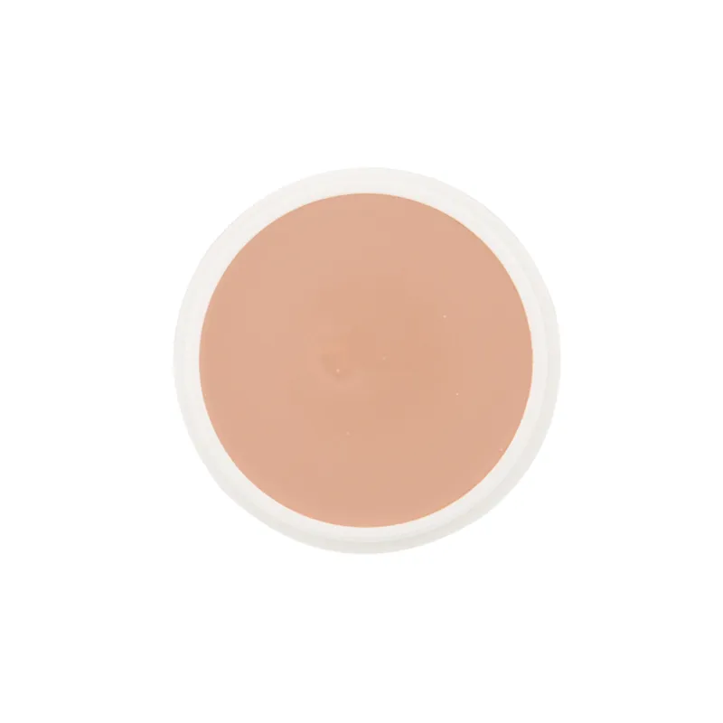School Special Ben Nye Creme Foundation Proscenium (P) Series