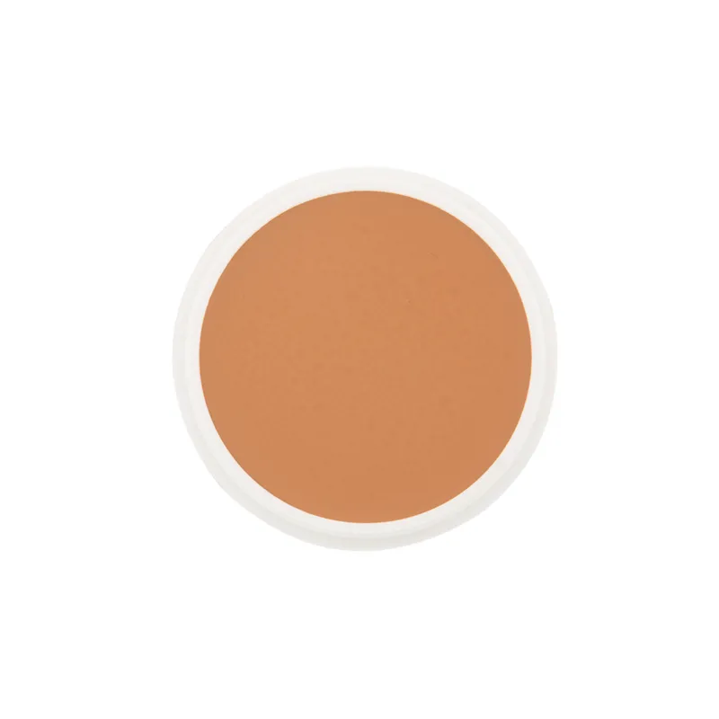 School Special Ben Nye Creme Foundation Proscenium (P) Series
