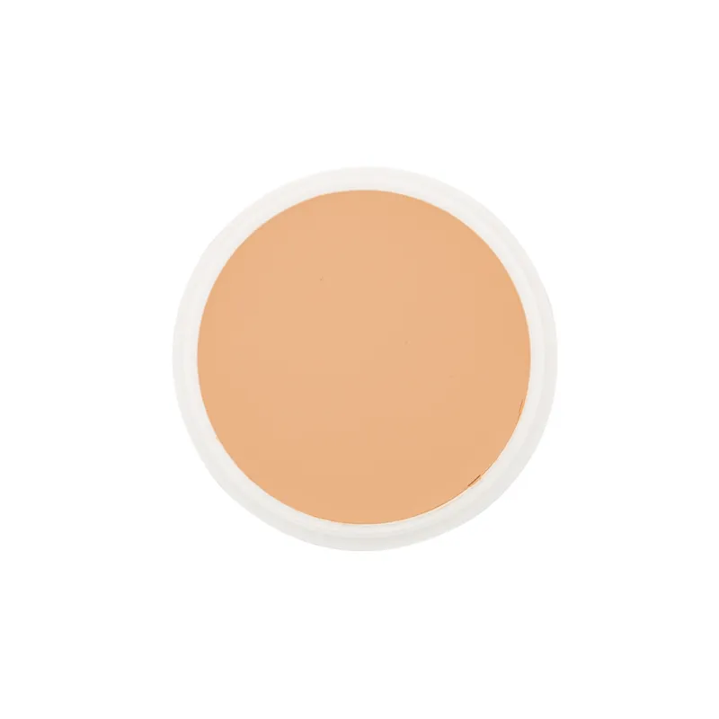 School Special Ben Nye Creme Foundation Proscenium (P) Series