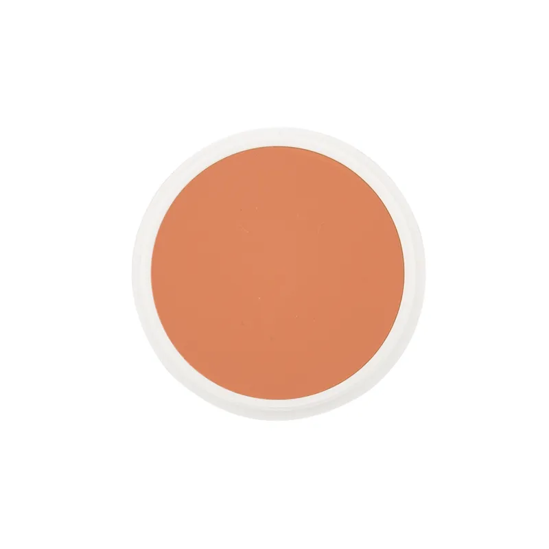 School Special Ben Nye Creme Foundation Proscenium (P) Series