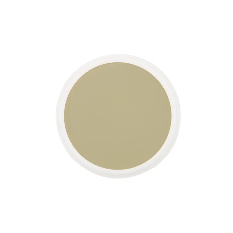 School Special Ben Nye Creme Foundation Proscenium (P) Series