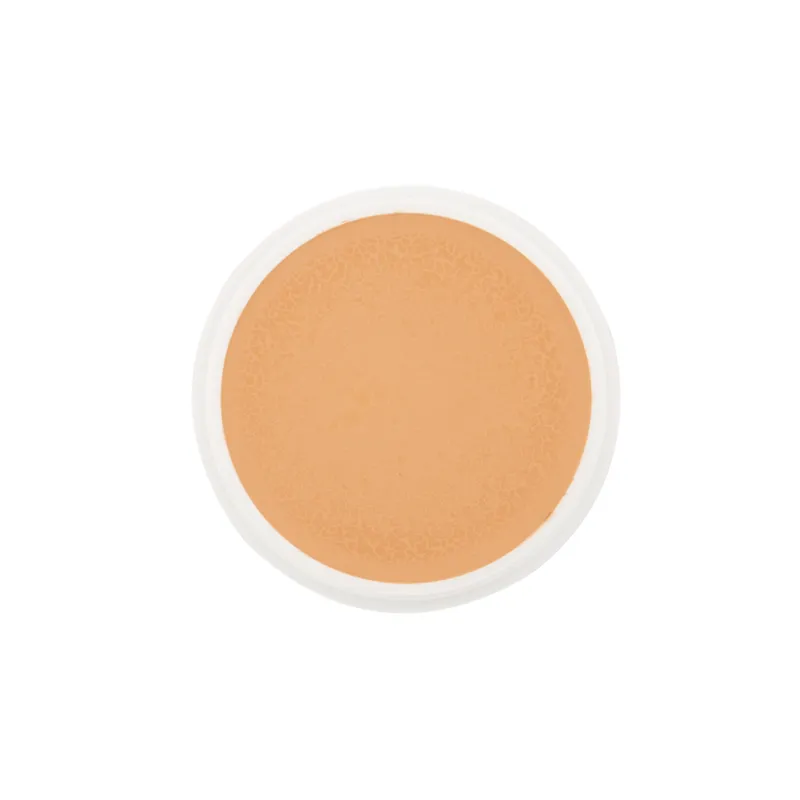 School Special Ben Nye Creme Foundation Proscenium (P) Series