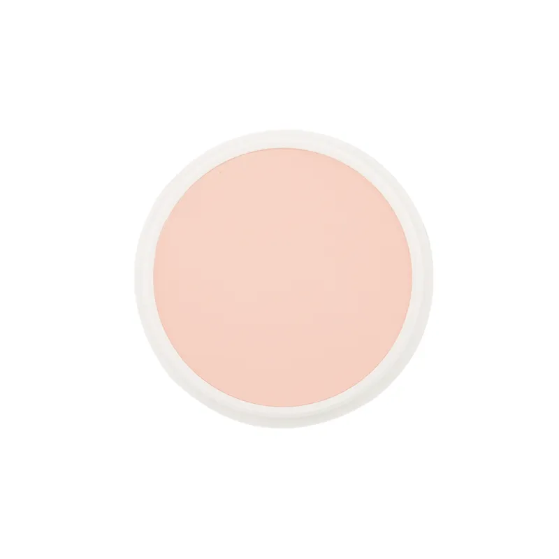 School Special Ben Nye Creme Foundation Proscenium (P) Series