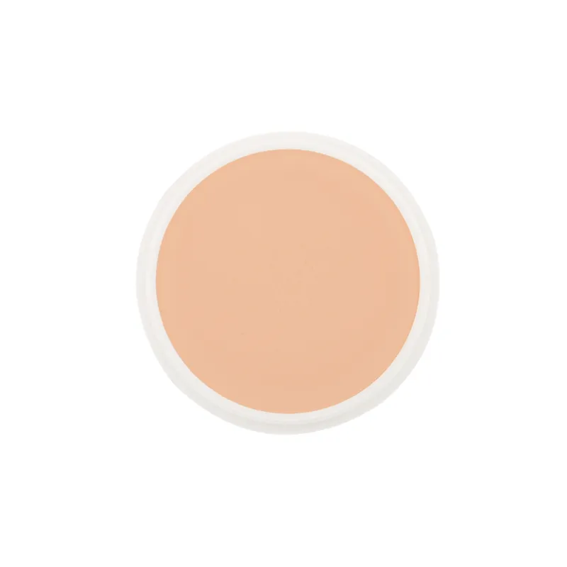 School Special Ben Nye Creme Foundation Proscenium (P) Series
