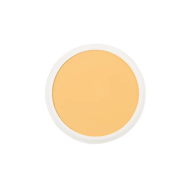 School Special Ben Nye Creme Foundation Proscenium (P) Series