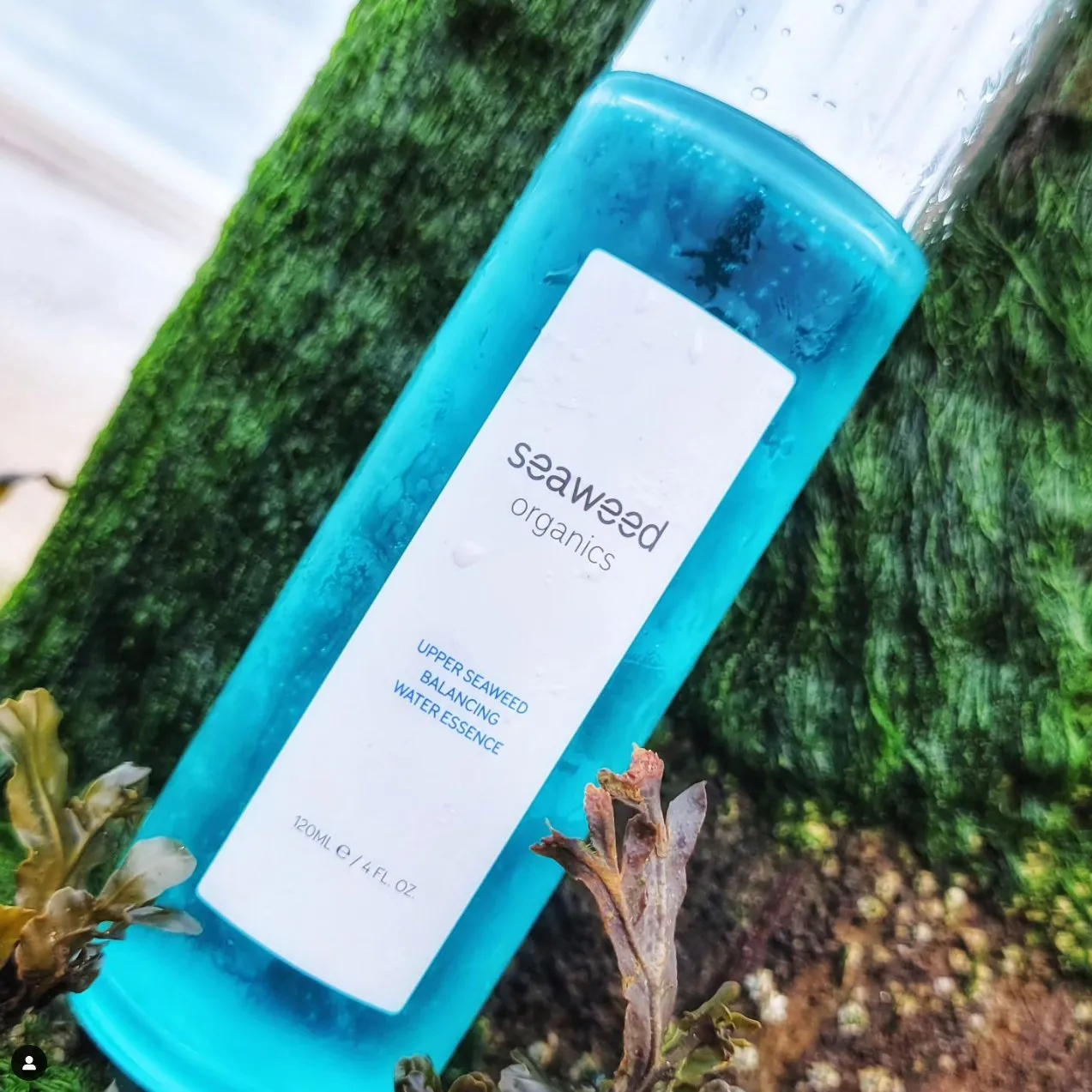 SEAWEED ORGANICS Upper Seaweed Balancing Water Essence