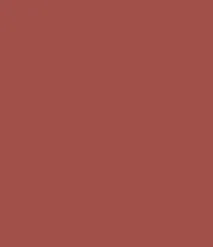 Zayn & Myza Rich Matte Lipstick (4.2g)