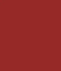 Zayn & Myza Rich Matte Lipstick (4.2g)